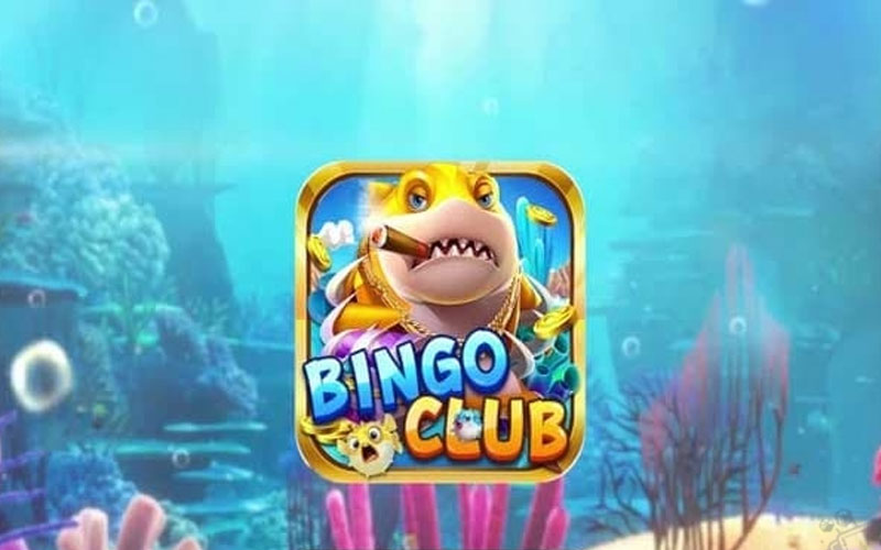 Giới thiệu về Bingo Club là gì?